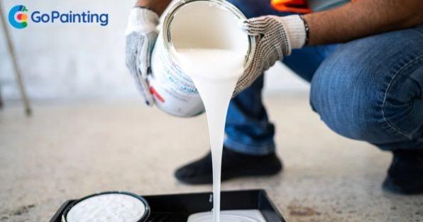 Go Painting Franchise Awards Tampa, FL Territory
