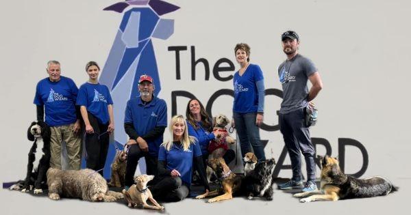 The Dog Wizard Franchise