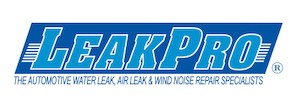 LEAKPRO