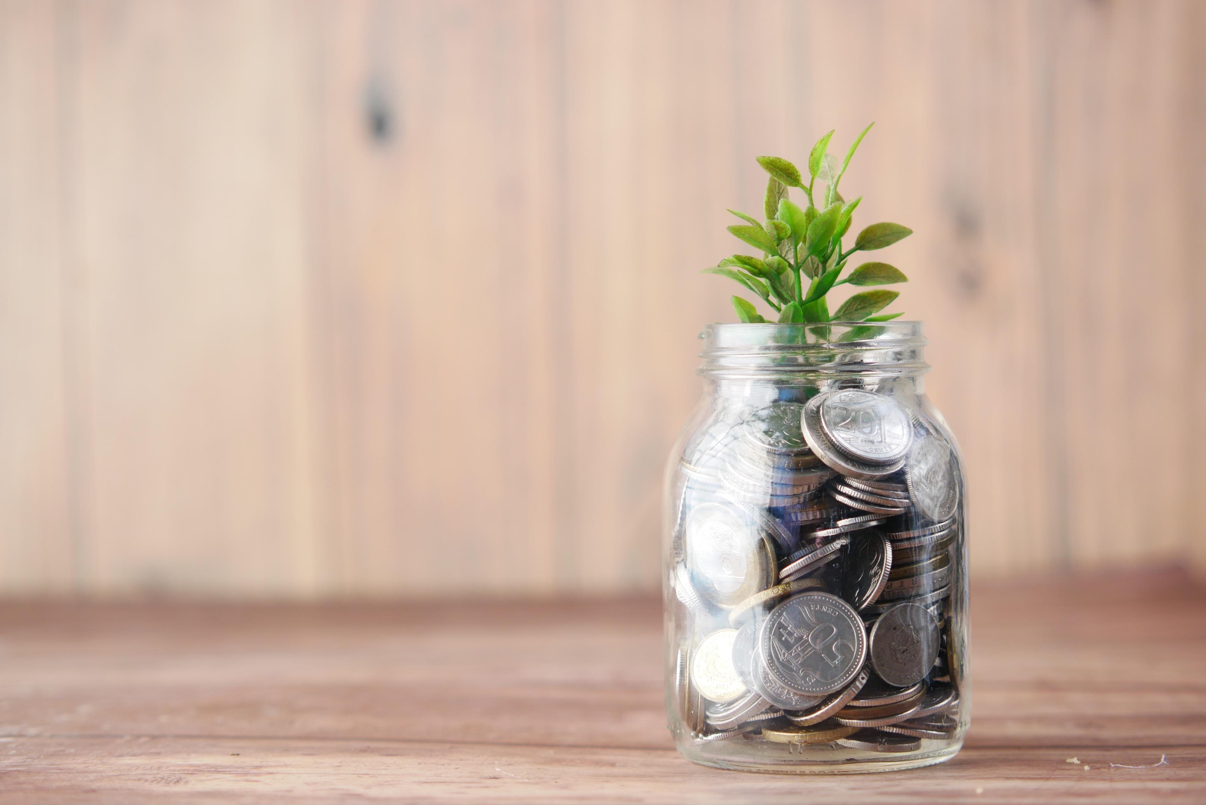 franchise royality fees