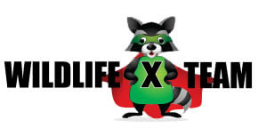 Wildlife X Team