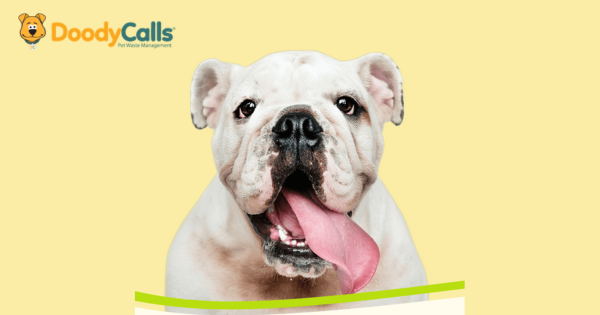 DoodyCalls franchise awards Indianapolis territory for pet waste franchise with dog mascot